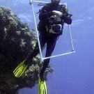 Ken Marks with his PVC square after completing coral photo transects.