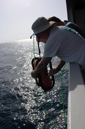 ROV Being Deployed to Survey Coral at Depth