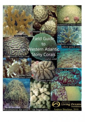 Field Guide to Western Atlantic Stony Corals