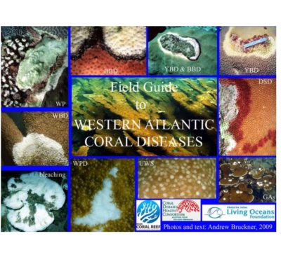 Field Guide to Western Atlantic Coral Diseases