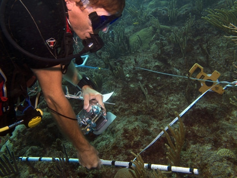 Dr. Andy Bruckner conducts an initial reef survey at the Legacy Site