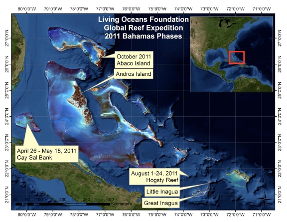 2011 Bahamas Global Reef Expeditions with the Khaled bin Sultan Living Oceans Foundation