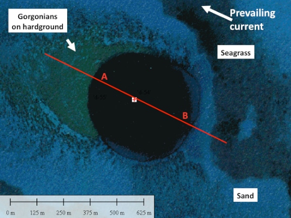 Aerial view of a Bahamian blue hole in Cay Sal studied during the Cay Sal Global Reef Expedition. Note the transect line intersecting the geologic feature with two points labeled 'A' and 'B' on either side of the blue hole.