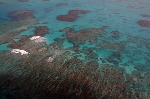Abaco barrier reef