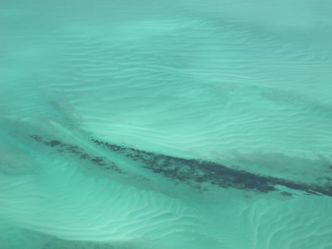 Underwater ooid sand dunes