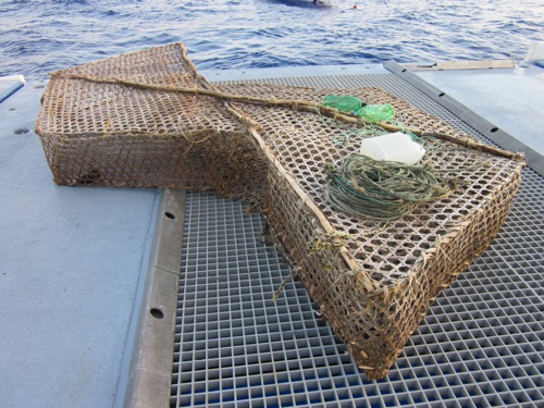 Typical bamboo Z trap used by Haitian fishers visiting Navassa.