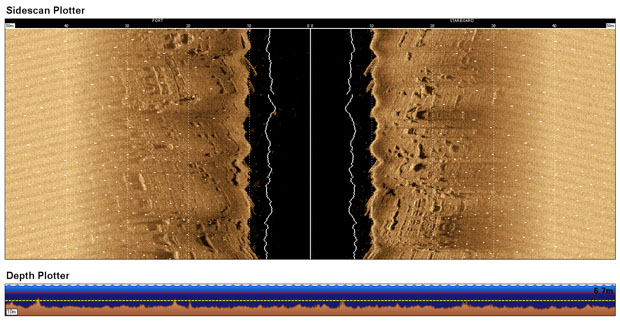 Starfish sidescan sonar image