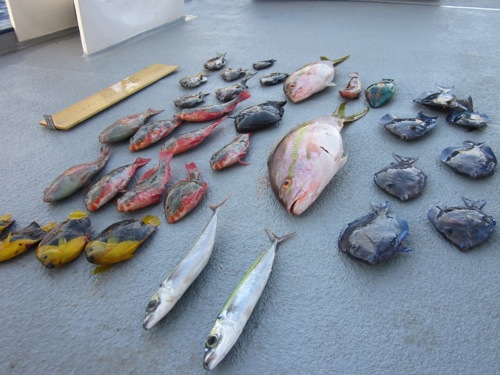Assessing the daily catch of Navassa fishers.