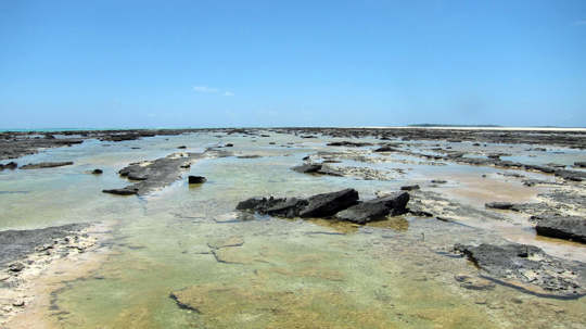A landscape view of the stromatolites
