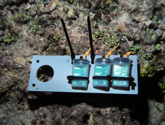 HOBO light meters deployed on a reef