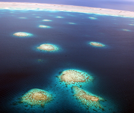 Numerous coral bommies within the lagoon at Fakarava