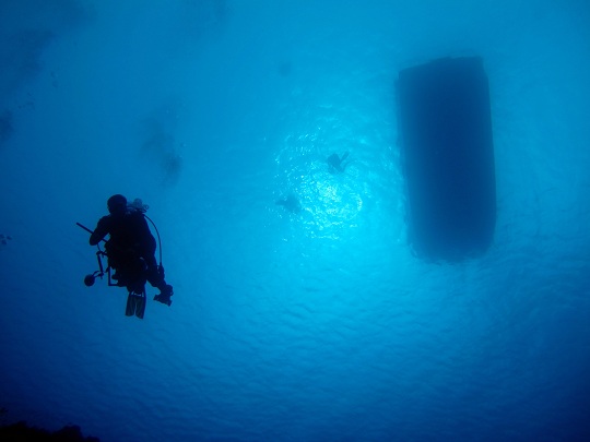 Research Dives: Divers descend to the reef to begin their surveys.