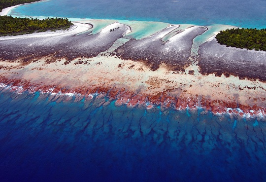 spur and groove fore reef, Tenararo