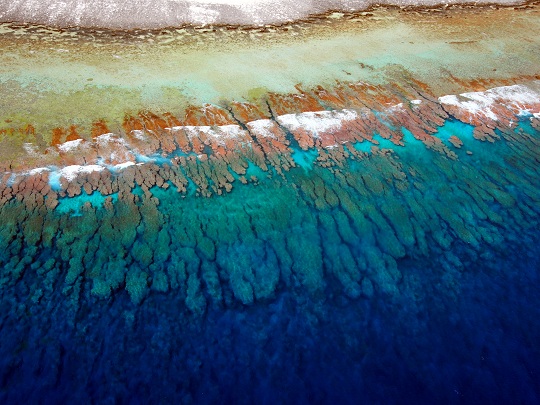 Overflight view of Hao showing the fore reef.