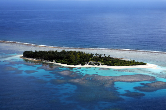 Lagoonal reefs