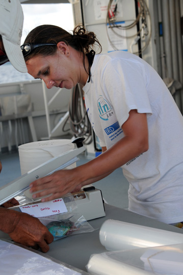 Dr. Melaine Roue weighs and bags fish for freezing