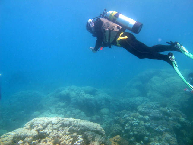 Dr. Pete Mumby observing the same reef on this mission; an incredible story of reef recovery.