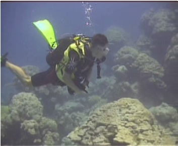 Dr. Pete Mumby diving by dead Porites colonies