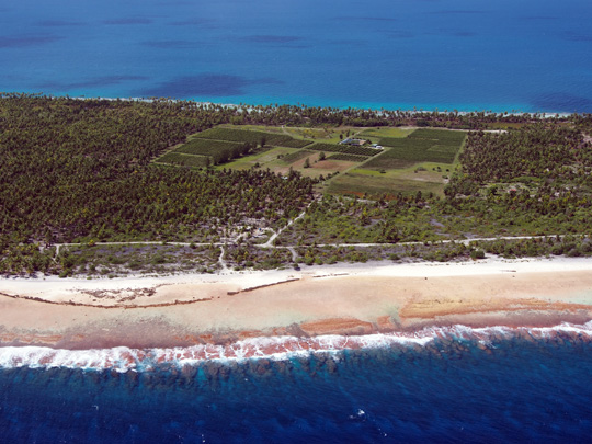 Aerial view of the grape plantation on Rangiroa