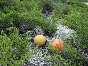 Lots of buoys washed up along the shore of Toau