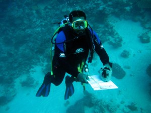Fijian Fisheries Officer, William Saladrua, conducting sea cucumber surveys. 
