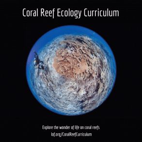 New Coral Reef Ecology Curriculum