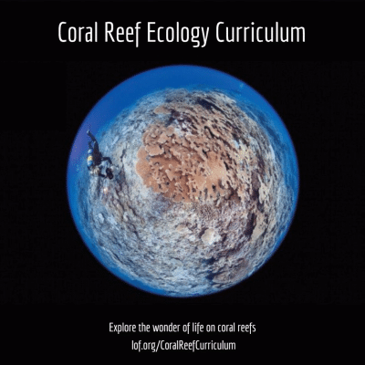 New Coral Reef Ecology Curriculum