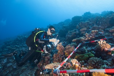 Marine Science Research