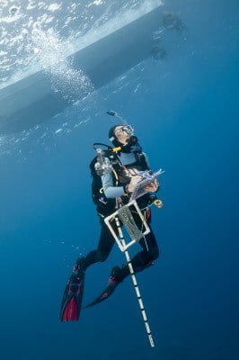 Global Reef Expedition Scientist Conducting Research for the Living Oceans Foundation