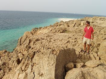 types of islands found in Farasan Islands