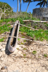 Here is the photo of a Pōpao, one of the Tongan canoes. The boat is no longer intact, but notice the carved wooden hull.