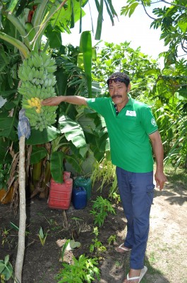 Hoifua ‘Aholahi pointing to the ripe bananas.