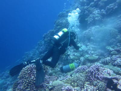 A member of the Science Team taking a core sample.