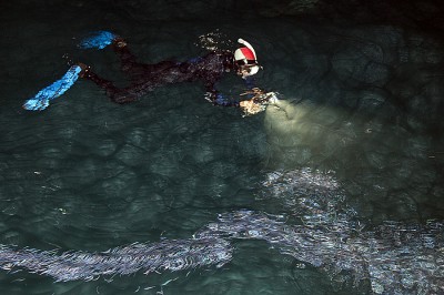 João Montiero photographing the bait fish.