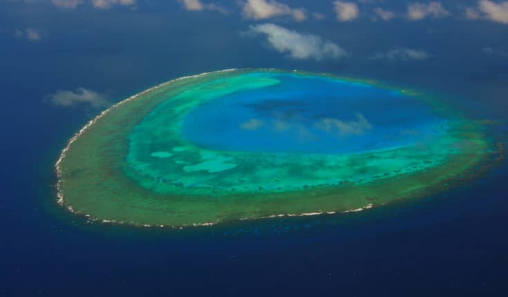 Stunning and Extraordinary Coral Reef Systems of New CaledoniaLiving ...