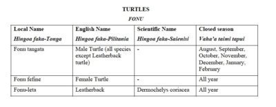 Marine Turtles Chart