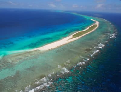 Huon Spur and Groove Coral Reef Systems