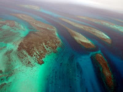 Pins Submerged Reef System