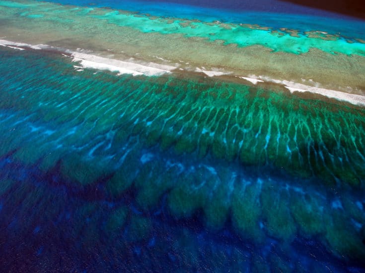 Stunning and Extraordinary Coral Reef Systems of New CaledoniaLiving ...