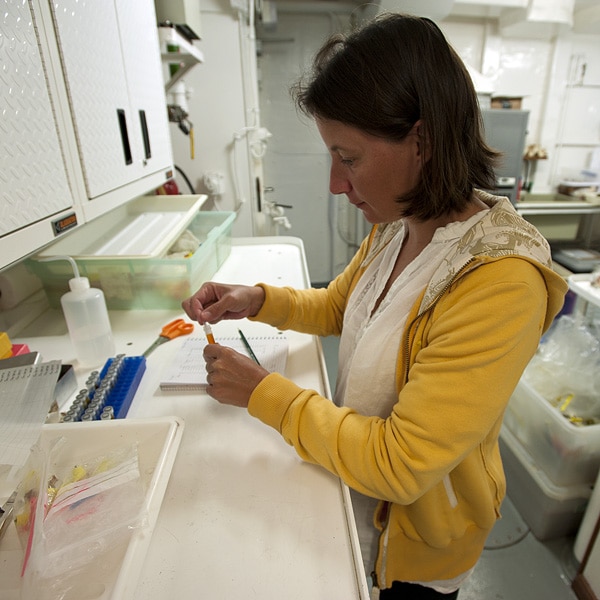 Cecilia Fauvelot analyzing tissue samples in the lab to determine how overharvesting has affected clam populations.