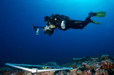 Ken Marks hovers above his white PVC quadrat to capture another photo transect.