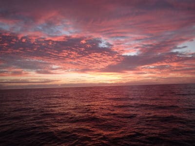 The sun sets on another day of research for most of the team, while Joao and Anderson head out on their night dive to see reef creatures at night.