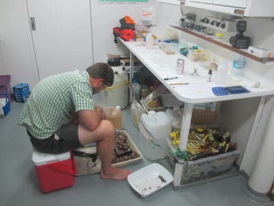 Specimens for the Marine Invertebrate Collection