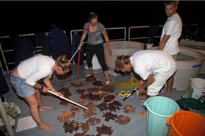 The Science Team prepares COTS for termination.