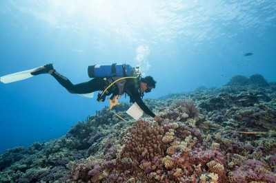Science Diver Surveys French Polynesia Reef