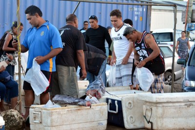 The current fish market in Vava'u consists of coolers in the open air.