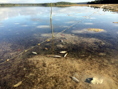 Inshore fishing net set at low tide on beach to catch fish between tides.  Stock Photo