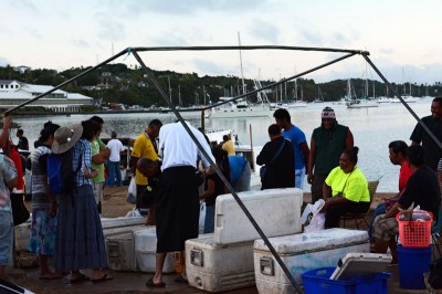 Tonga customers buying fish from the fish market at Port of Refuge, Vava'u.