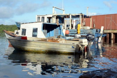 Tonga fishing vessels lined up at the Vava'u fish market dock.