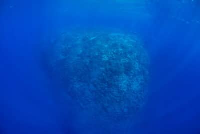 The oceanic water at the outer edge of the Great Barrier Reef is so clear, that you can see the surveying scientists as little specks in the upper right corner from almost 50 meter away.